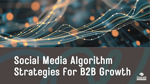 Social Media Algorithm Strategies for B2B Growth