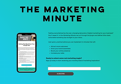 An example of a landing page for a newsletter signup.