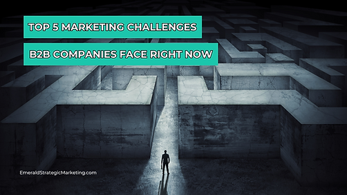 A person standing before a large, concrete maze. Text: Top 5 Marketing Challenges B2B Companies Face Right Now.