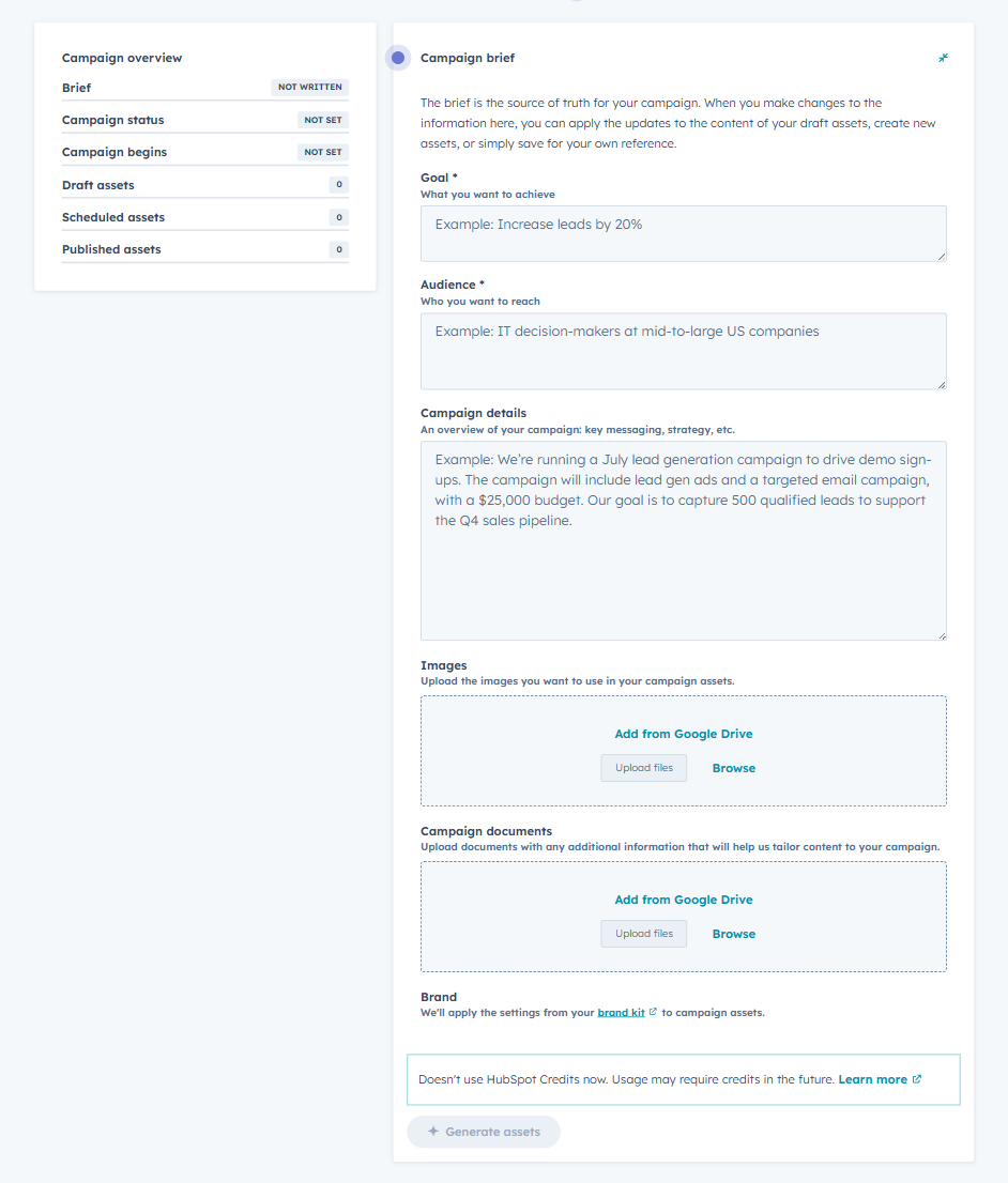 A screenshot of a blank marketing campaign in HubSpot.