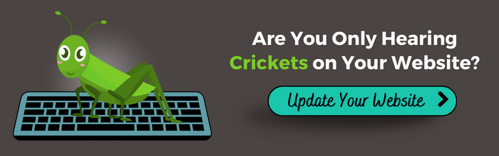 A cricket on a keyboard. Text: Are you only hearing crickets on your website? Button: Update Your Website.