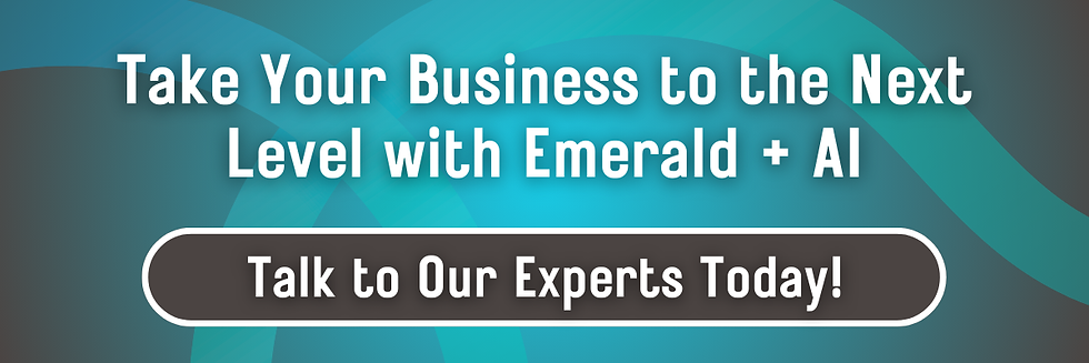 A teal, gray gradient background. Text: Take Your Business to the Next Level with Emerald + AI.
Button: Talk to Our Experts Today!