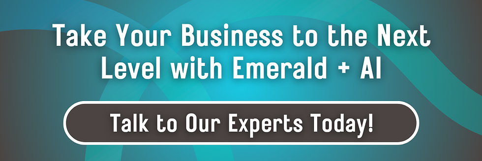 A teal, gray gradient background. Text: Take Your Business to the Next Level with Emerald + AI.
Button: Talk to Our Experts Today!