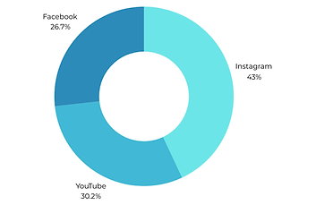 An open pie graph showing which social media platforms travelers use most